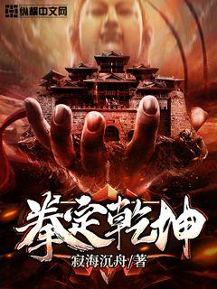 拳定干坤