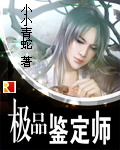 极品鉴定师【完结】