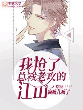 我抢了总裁大佬的江山